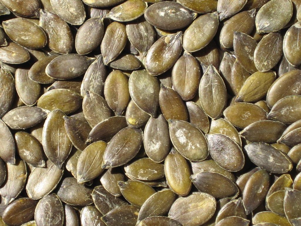 Graines de courge séchées – Cabinet Jun Li – Bien-être traditionnel chinois