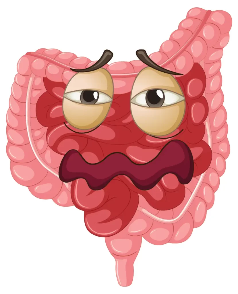 Intestins en cartoon - Cabinet Jun Li - Bien-être traditionnel chinois